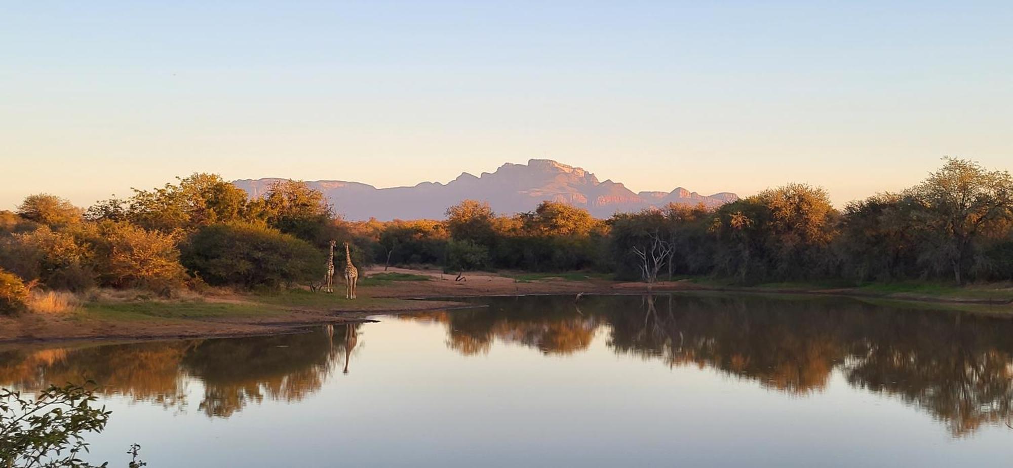 Villa Lanterfant - Luxury Stay In Nature - Solar Powered Hoedspruit Dış mekan fotoğraf